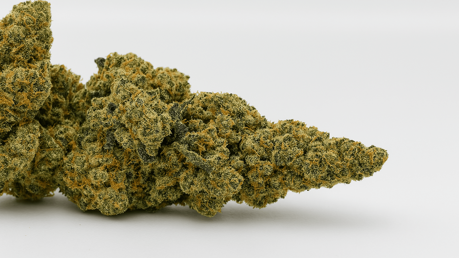 Amnesia Haze : Tout savoir sur cette variété de cannabis légendaire - FlameFocus