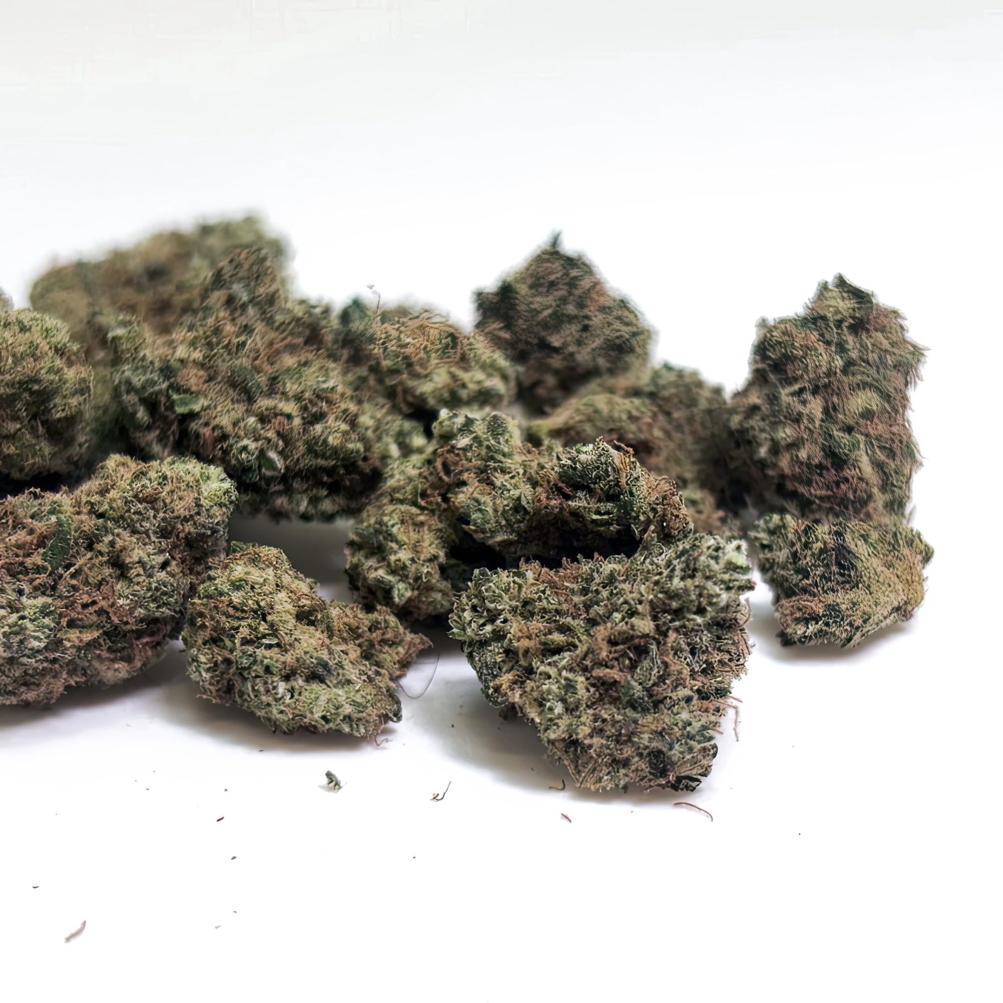 indoor small bud rainbow chip cbd 