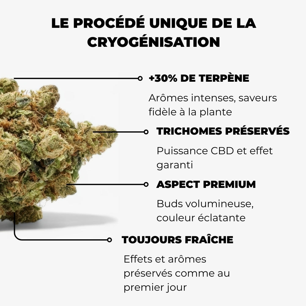 Pack Découverte · Bestsellers