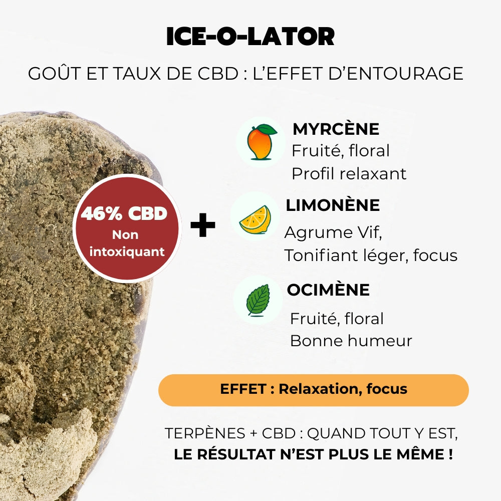 Hash Fusion - Pack Résine