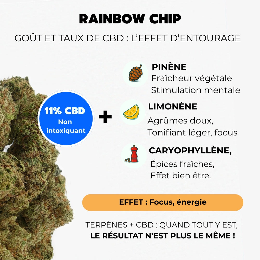 Sunset punch - Pack Fruité