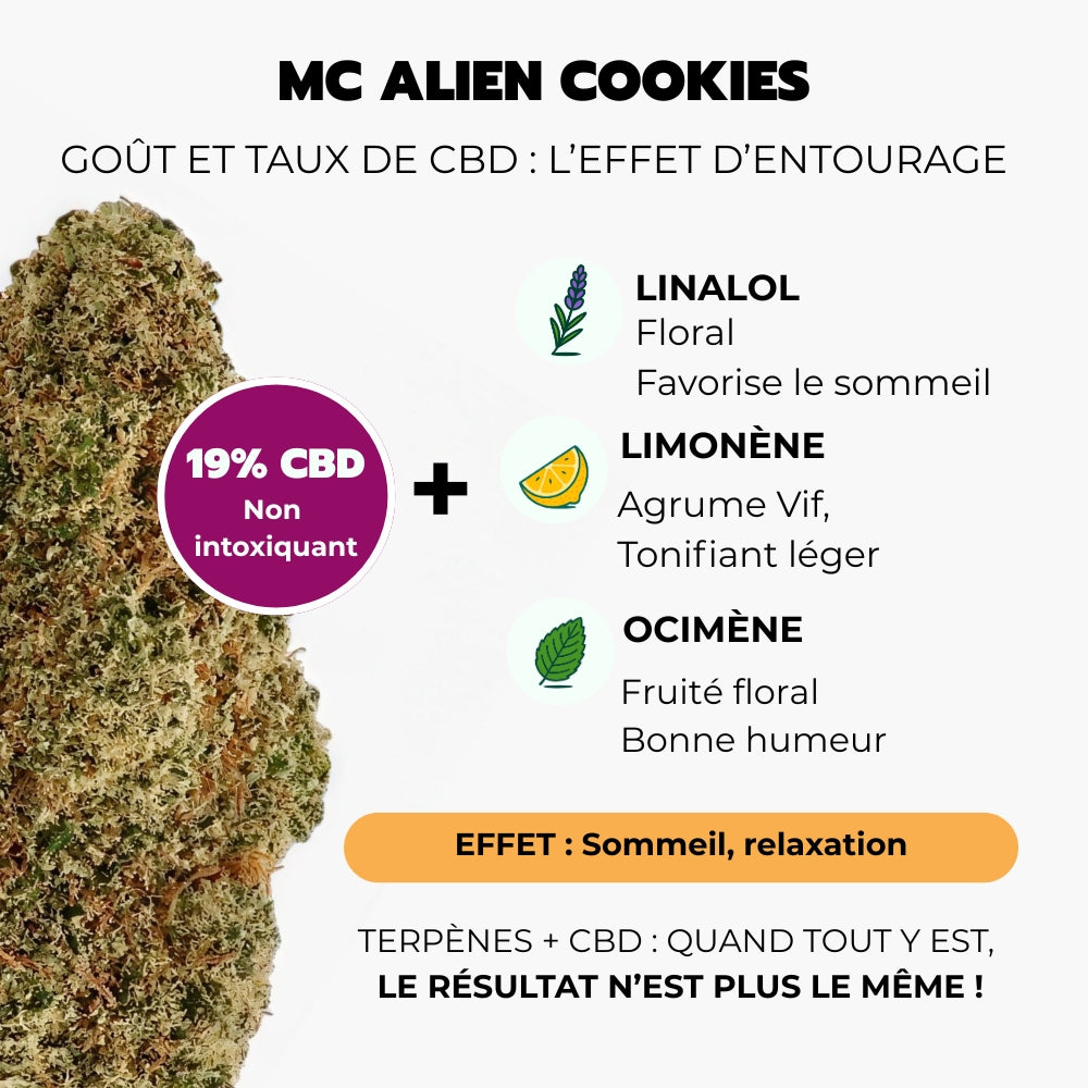 Cosmic Crumble - Pack Gourmand
