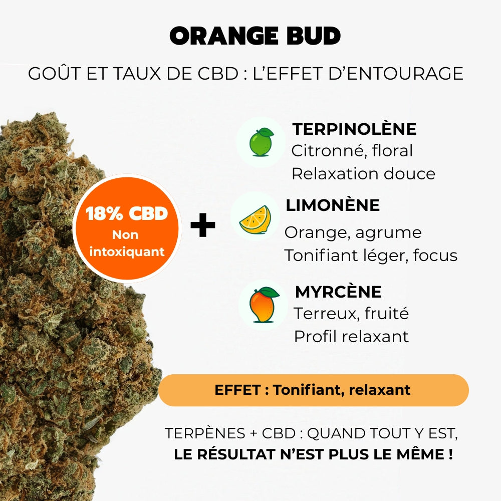 Sunset punch - Pack Fruité