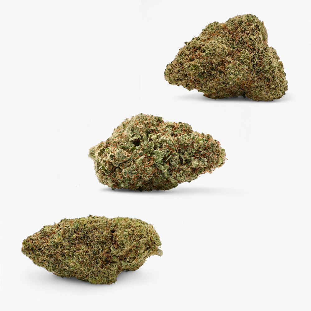 Cosmic Crumble - Pack Gourmand
