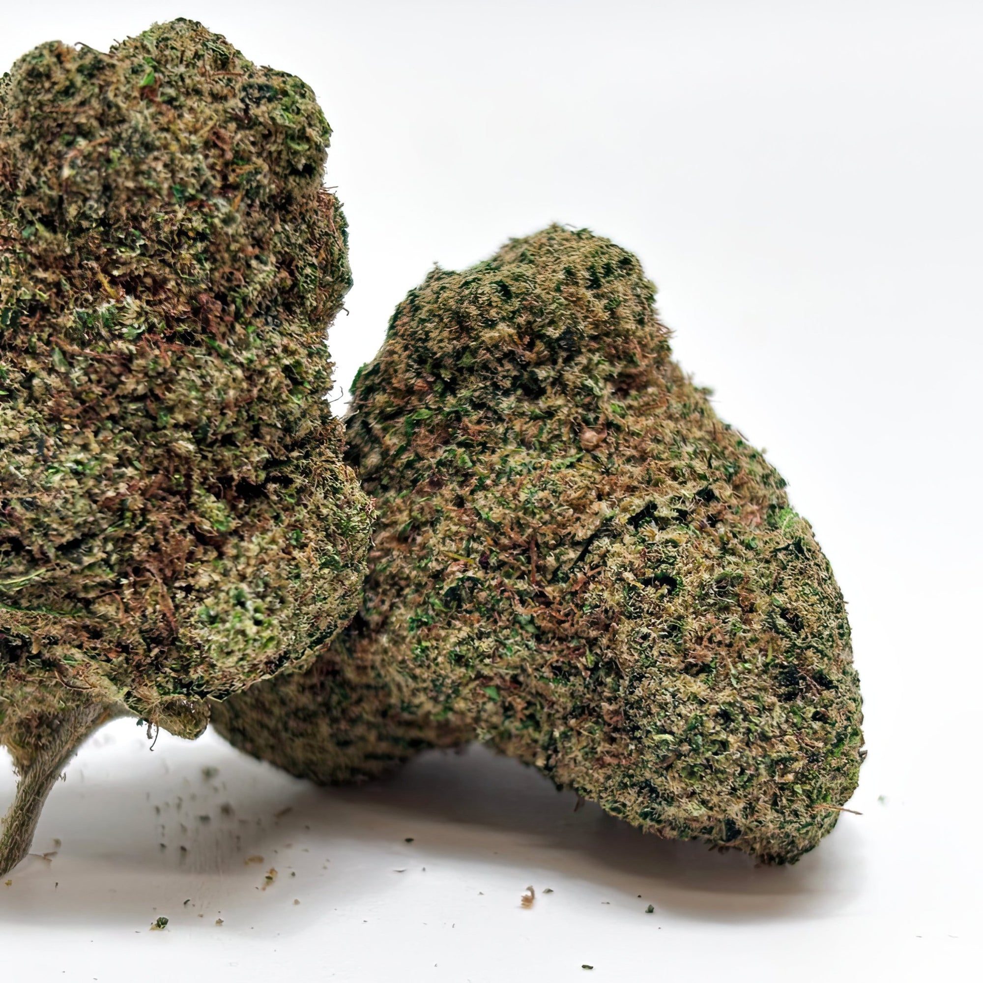 MC Alien Cookies Fleur CBD - FlameFocus